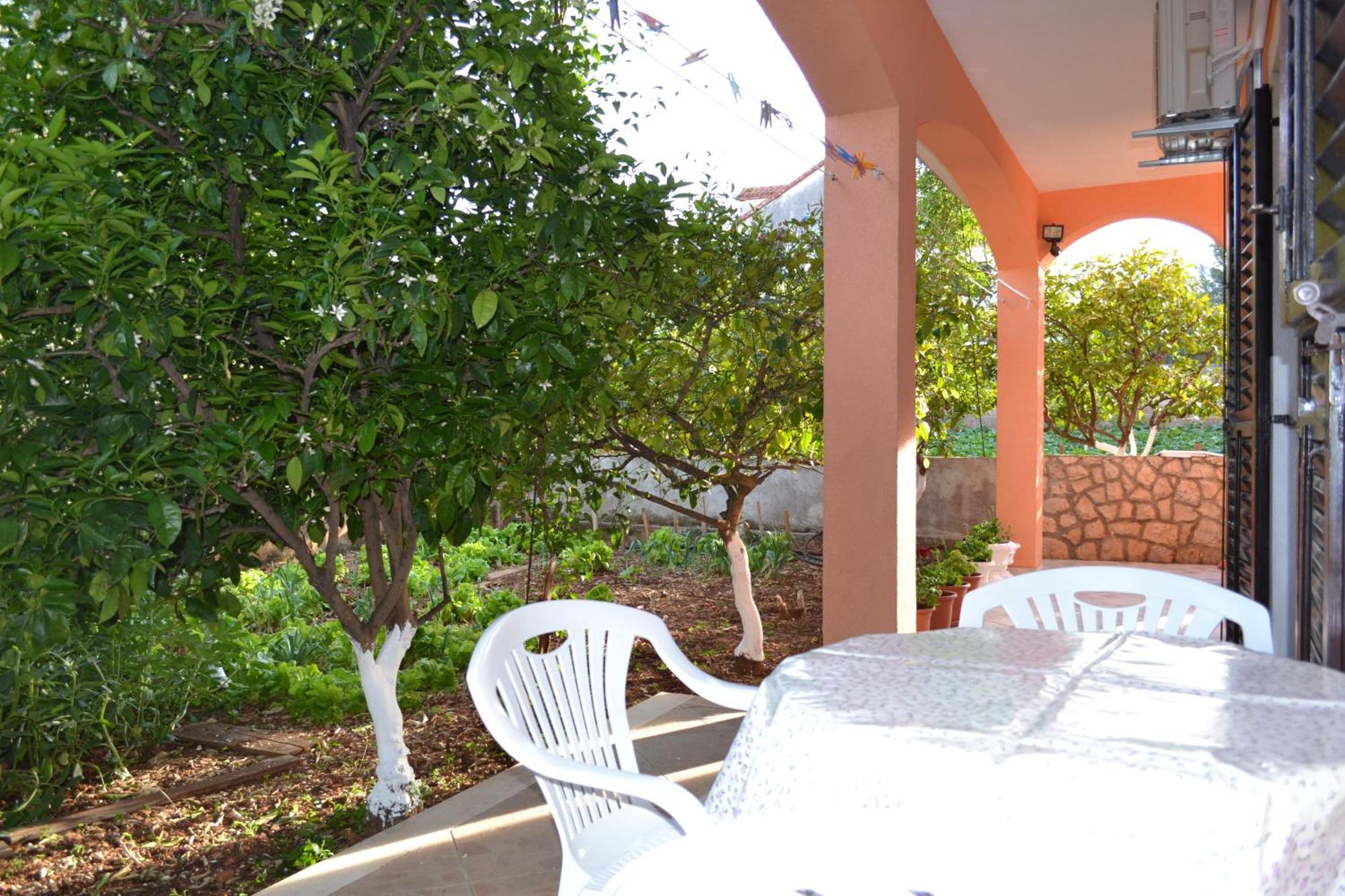 Apartments Ivanka โตรกีร์ ภายนอก รูปภาพ